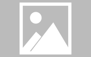 长兴斑马网站高清素材视频（斑马视频最新版）